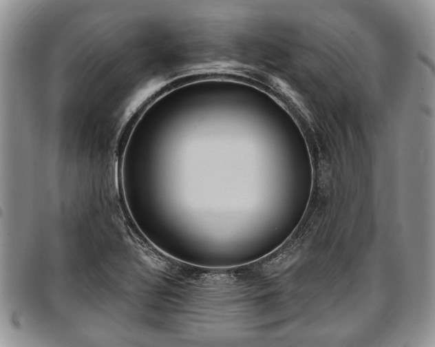 X0000097491320200802291422