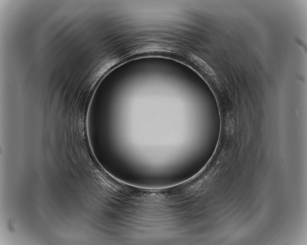 X0000097491321200802291422