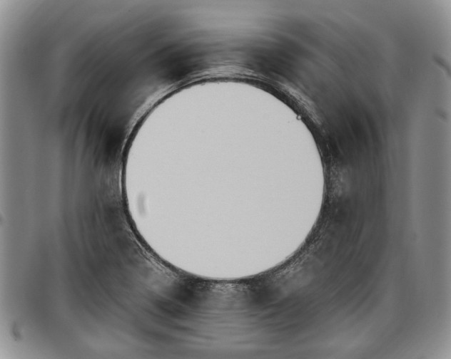 X0000097491322200802291422