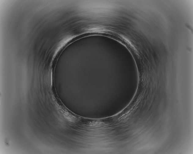 X0000097491323200802291422