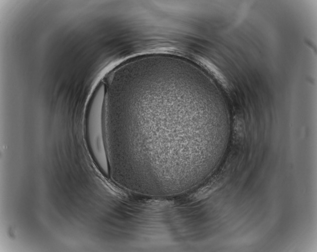 X0000097491324200802291422