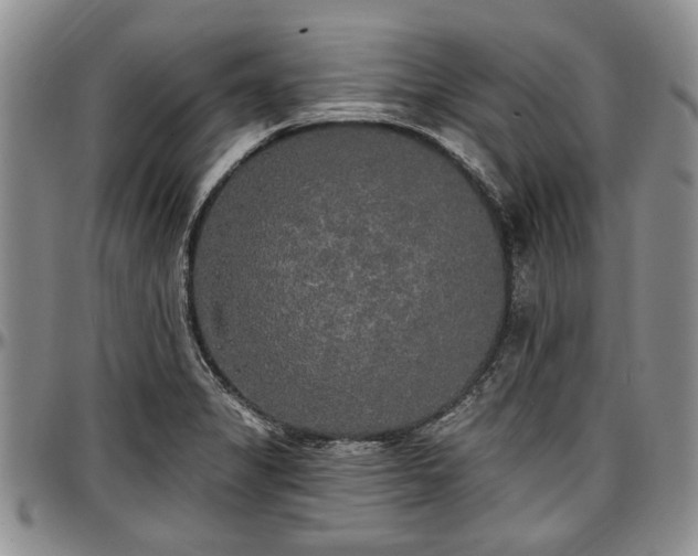 X0000097491325200802291422