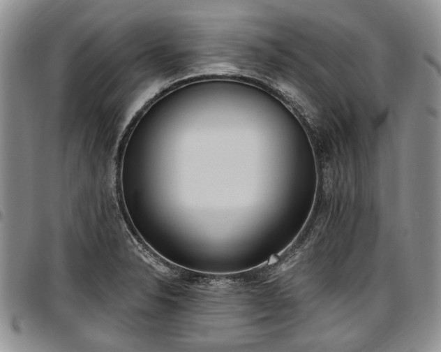 X0000097491326200802291422