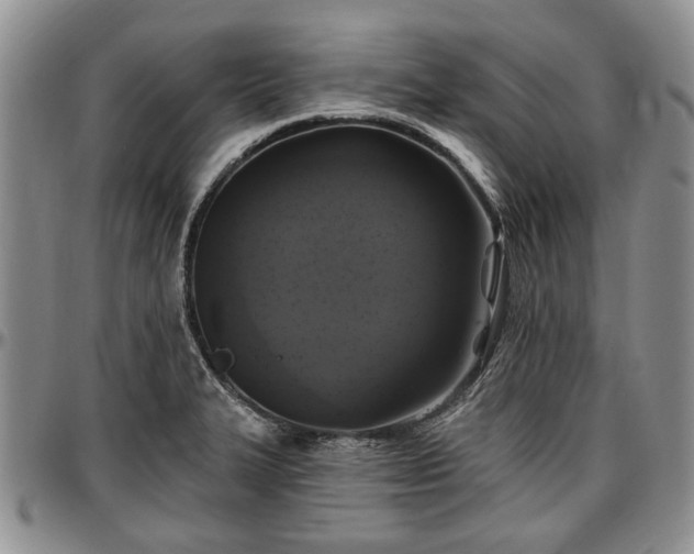 X0000097491327200802291422