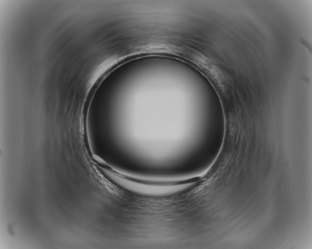 X0000097491328200802291422