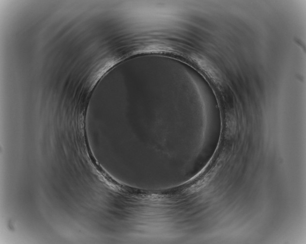 X0000097491329200802291422