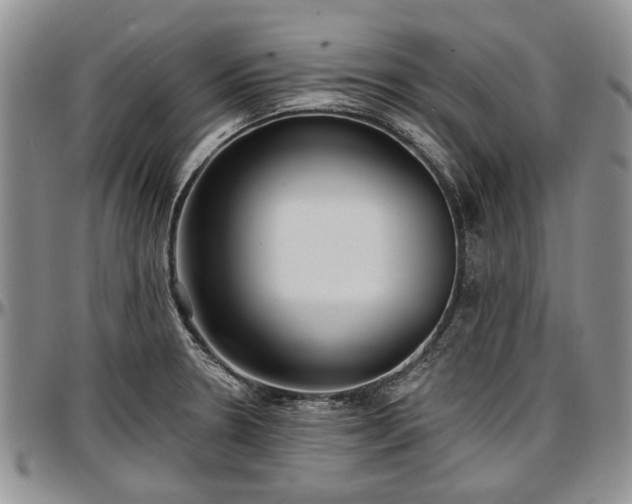 X0000097491330200802291422