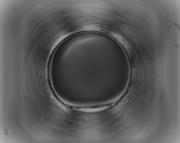 X0000097491331200802291422