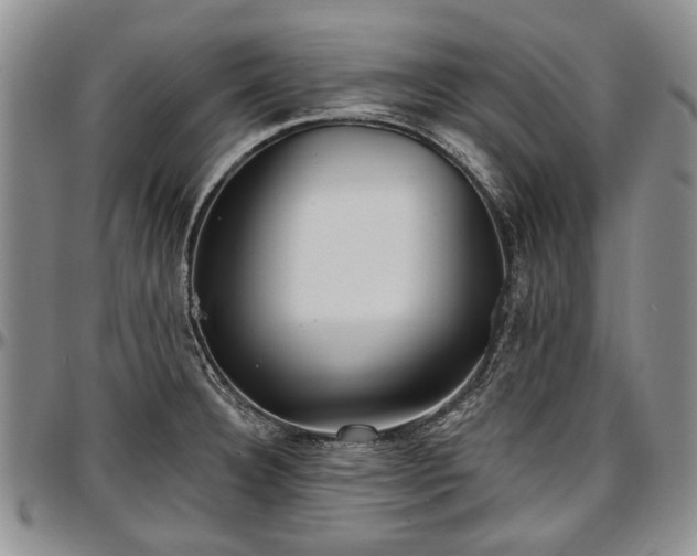 X0000097491332200802291422