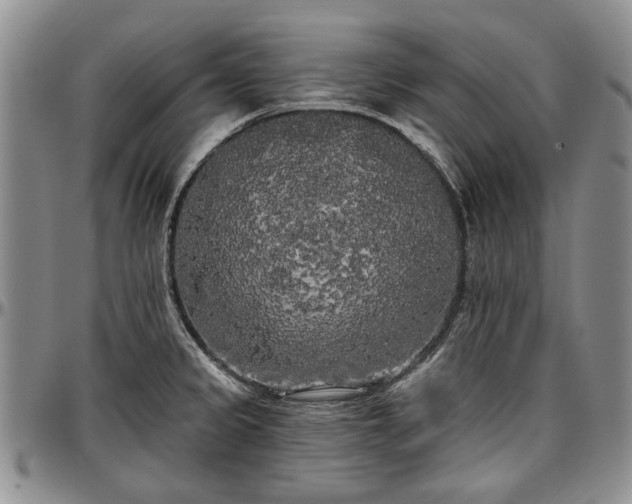 X0000097491333200802291422