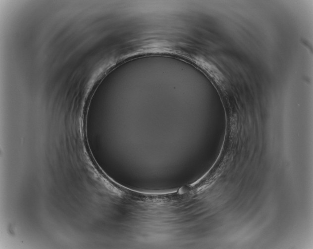 X0000097491334200802291422