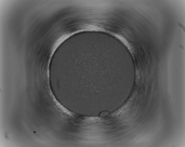 X0000097491335200802291422