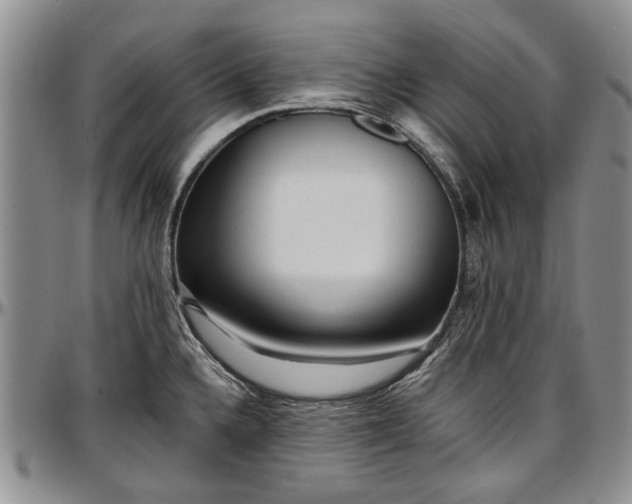 X0000097491336200802291422