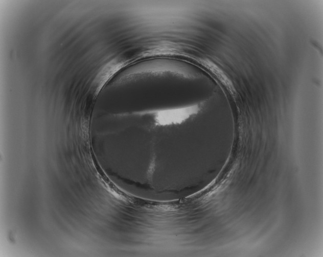 X0000097491337200802291422