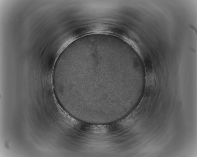 X0000097491338200802291422