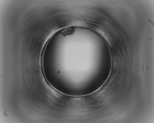 X0000097491339200802291422