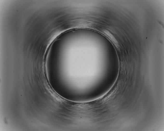 X0000097491340200802291422