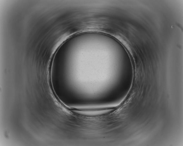 X0000097491341200802291422