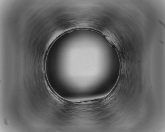 X0000097491342200802291422