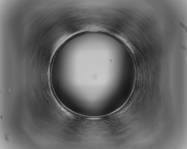 X0000097491343200802291422