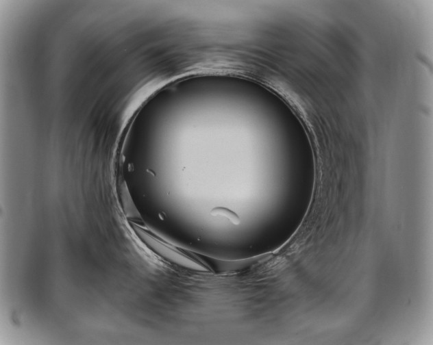 X0000097491344200802291422