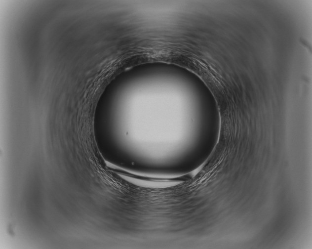 X0000097491345200802291422