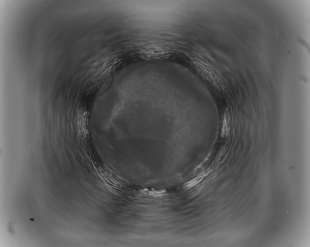 X0000097491346200802291422