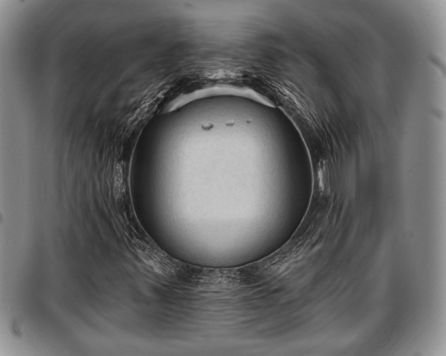 X0000097491347200802291422