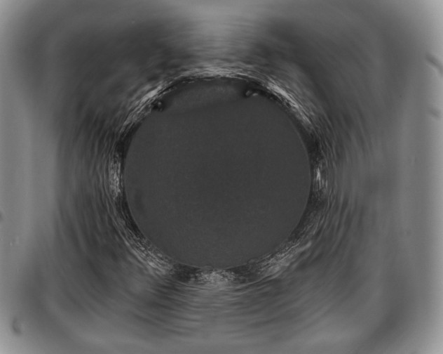 X0000097491348200802291422