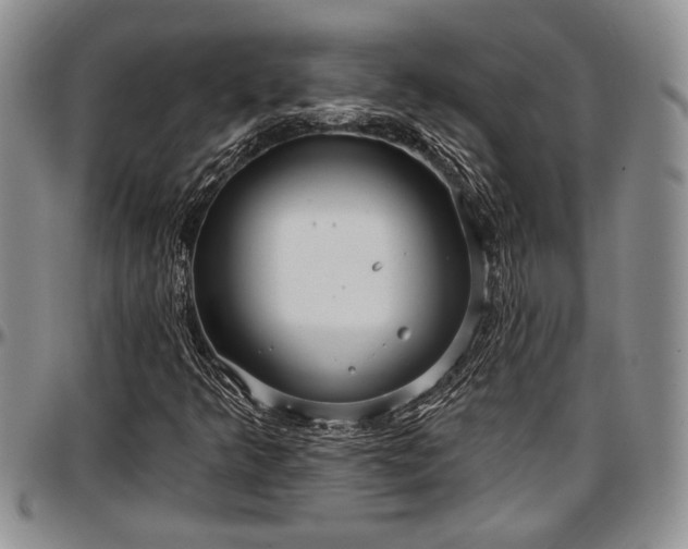 X0000097491349200802291422