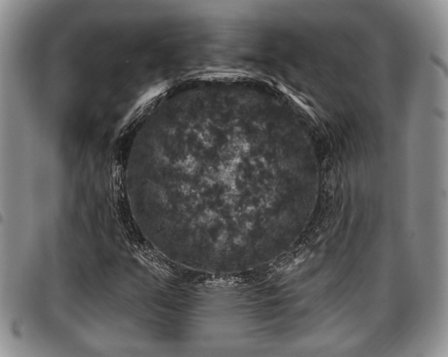 X0000097491351200802291422