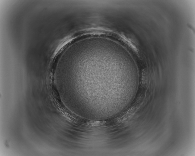 X0000097491352200802291421