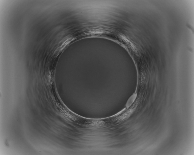 X0000097491353200802291421