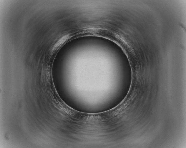 X0000097491354200802291421