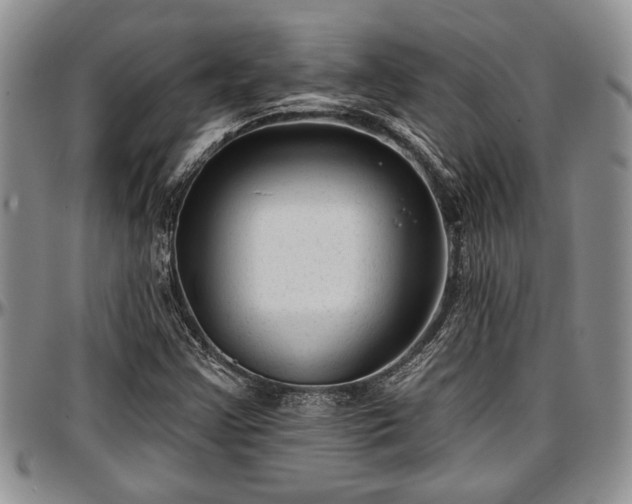 X0000097491355200802291421