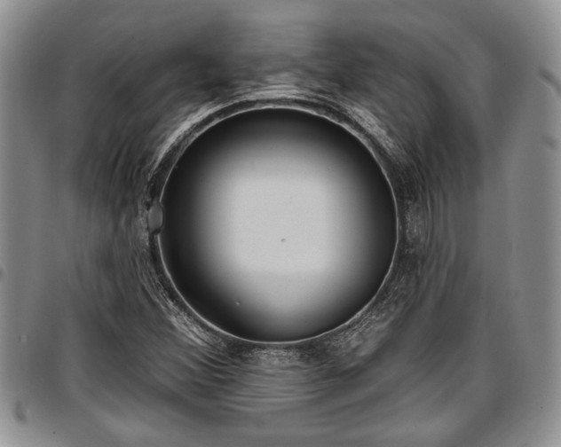 X0000097491356200802291421