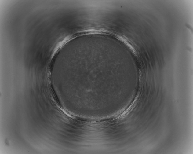 X0000097491357200802291421