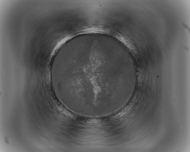 X0000097491358200802291421