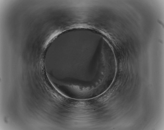 X0000097491359200802291421