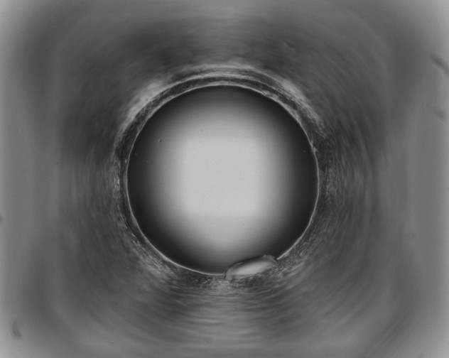 X0000097491360200802291421