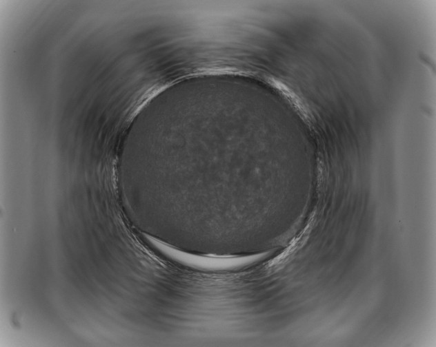 X0000097491361200802291421