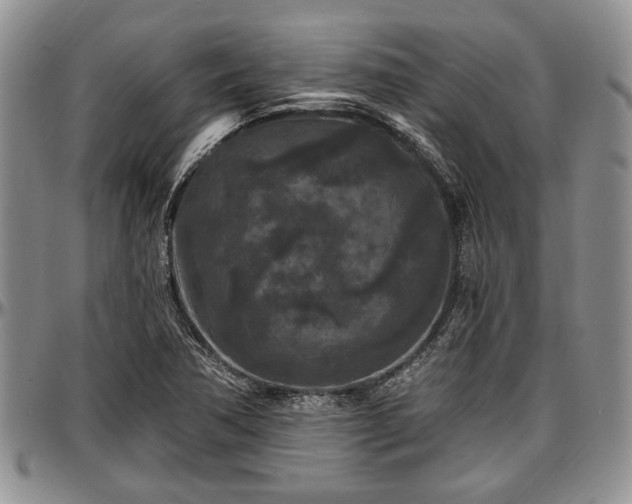 X0000097491362200802291421