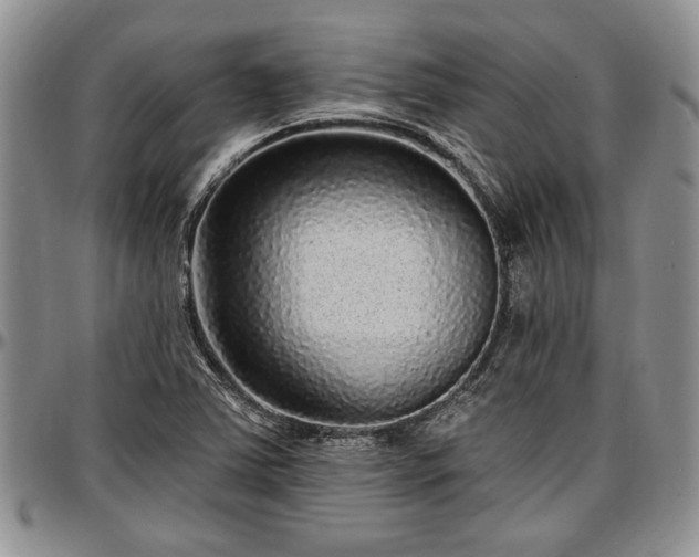 X0000097491363200802291421