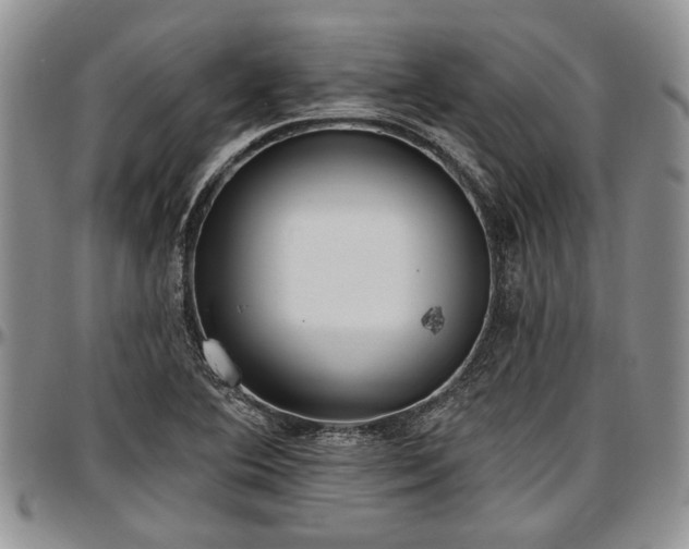 X0000097491364200802291421