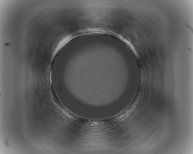 X0000097491365200802291421