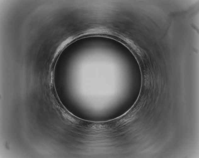 X0000097491366200802291421