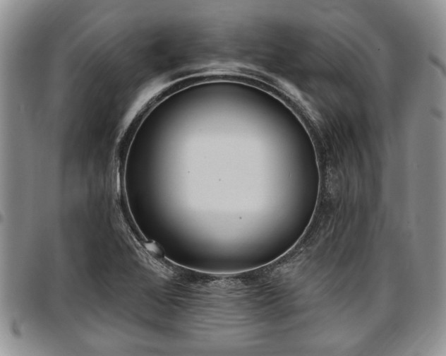 X0000097491368200802291421