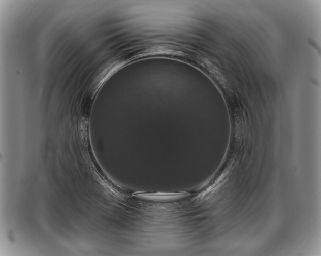 X0000097491369200802291421