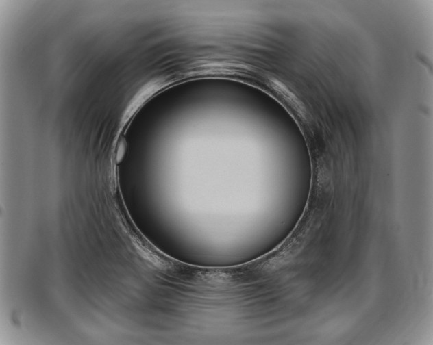 X0000097491370200802291421