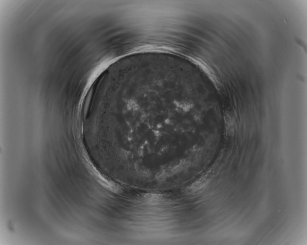 X0000097491371200802291421